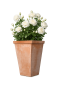 Preview: Schmaler, hoher Terracottakasten aus Impruneta – handgefertigt und frostsicher für Rosen